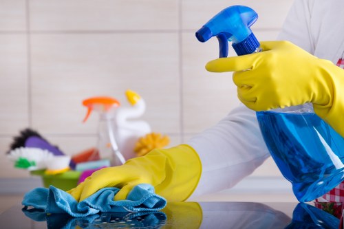 Professional pet stain odour removal for carpets in Kingston upon Thames