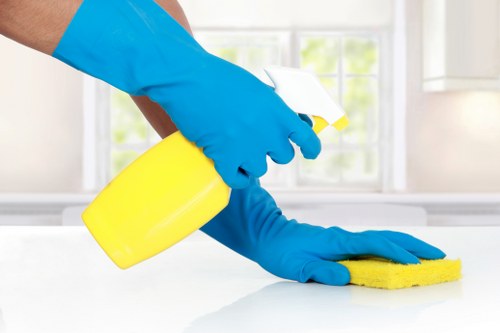 Professional carpet cleaning in a Kingston upon Thames home