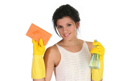 Deep cleaning a sofa affected by pet stains and smells