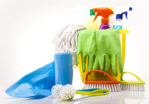 Specialist treatment for a delicate rug with pet odours or spills