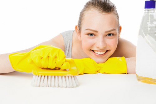 Professional regular cleaning service for Kingstonuponthames properties