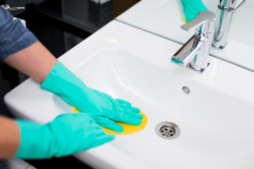 Local pet stain and odour removal service for homes and businesses