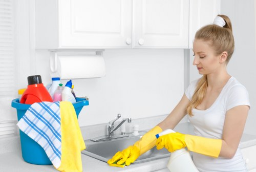 Deep cleaning of oven racks and trays as part of an oven cleaning appointment